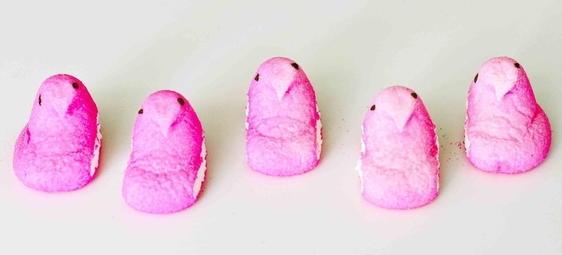 Pink chick peeps